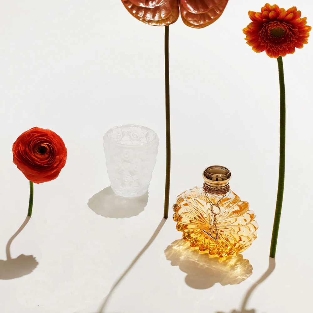 Anemones votive - Image 4
