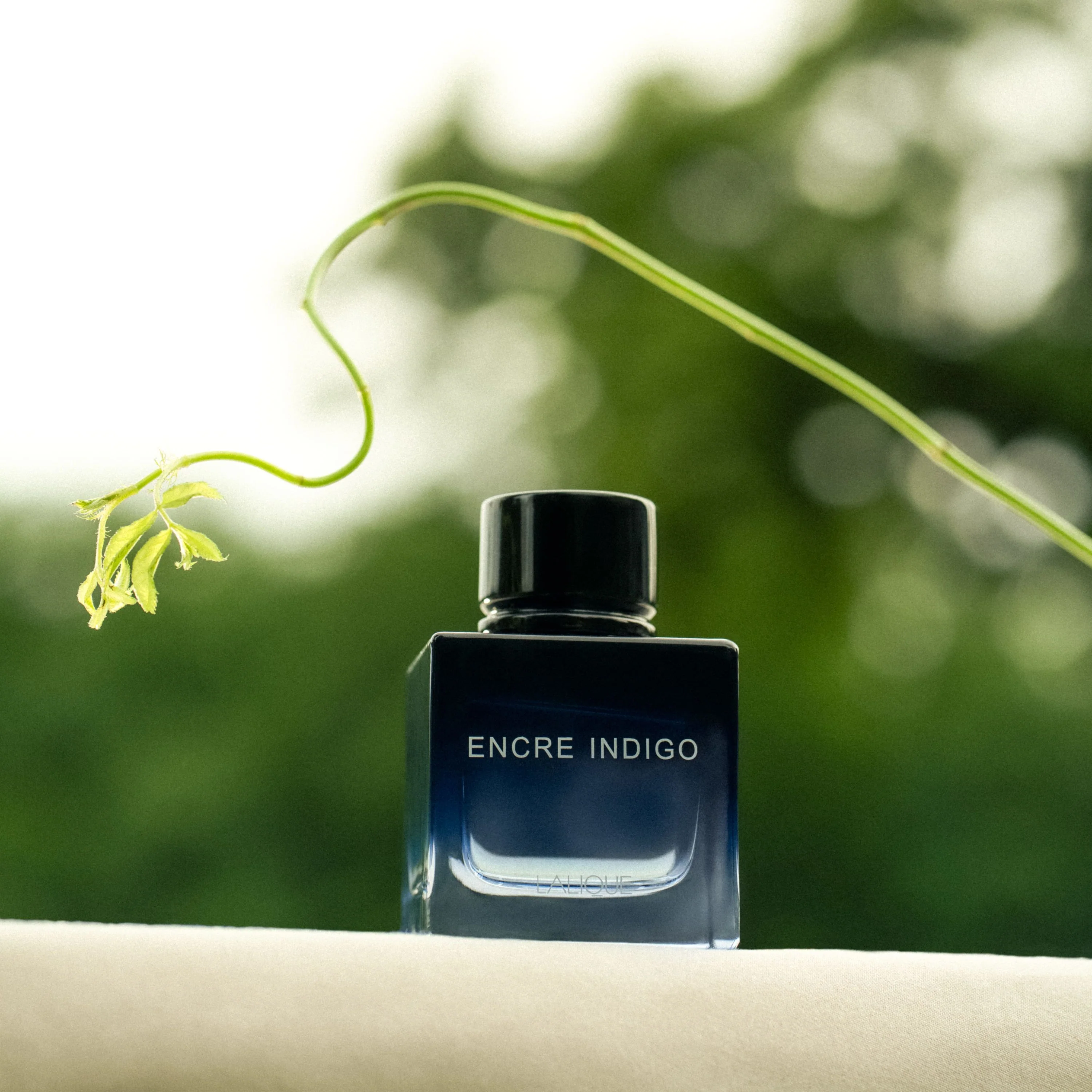Encre Indigo, Eau de Parfum - Image 5