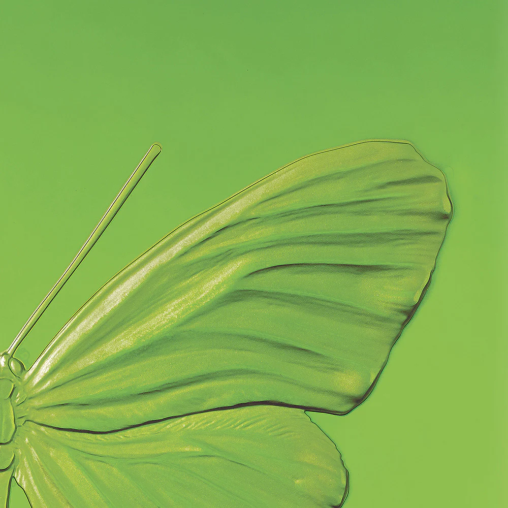 Eternal Hope, Damien Hirst & Lalique, 2015 - Image 2