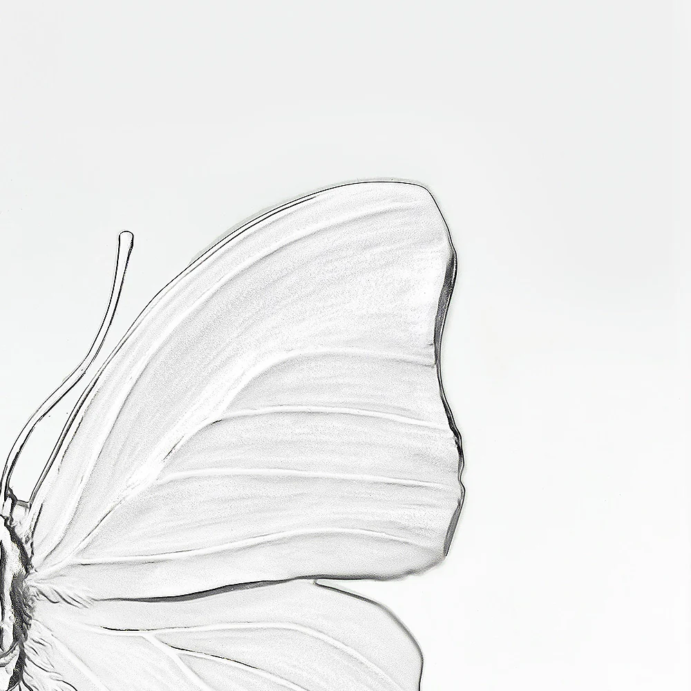 Eternal Love, Damien Hirst & Lalique, 2015 - Image 2