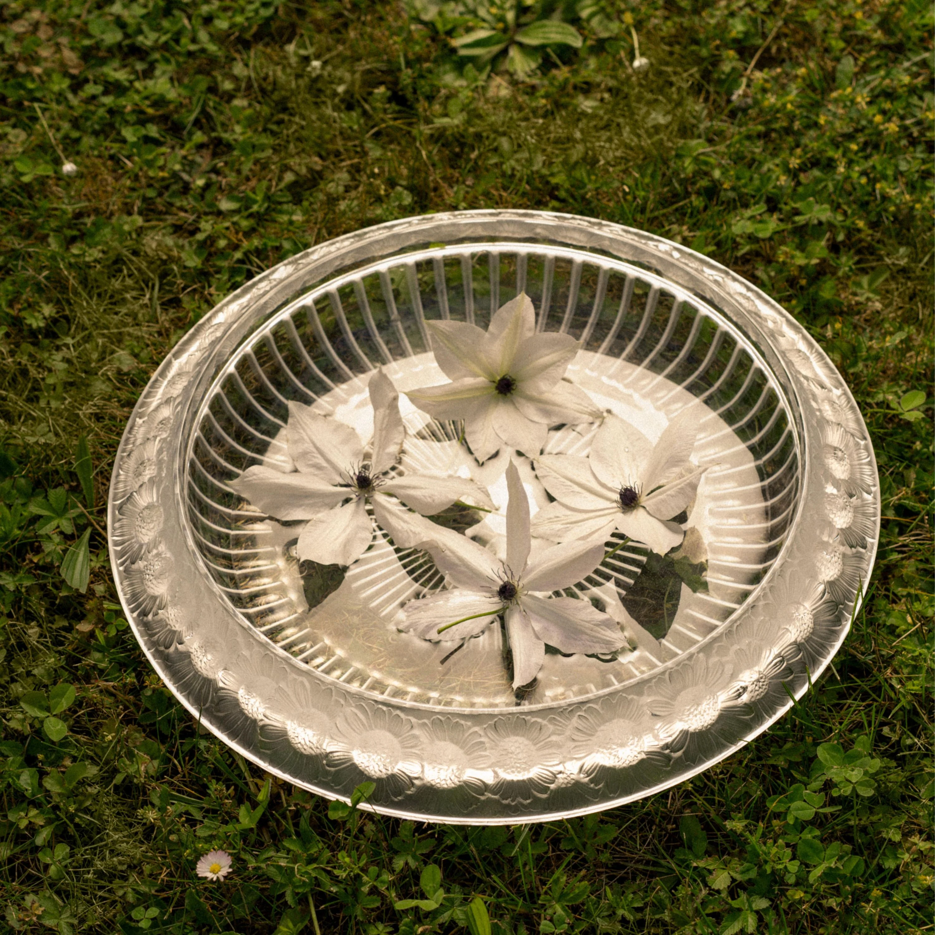 Marguerites bowl - Image 2