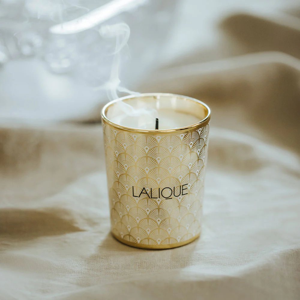 Noir Premier, Plume Blanche 1901, Scented Candle - Image 2